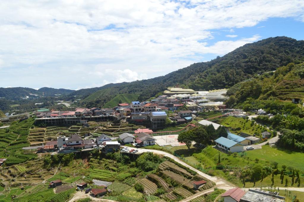 Surrounding environment