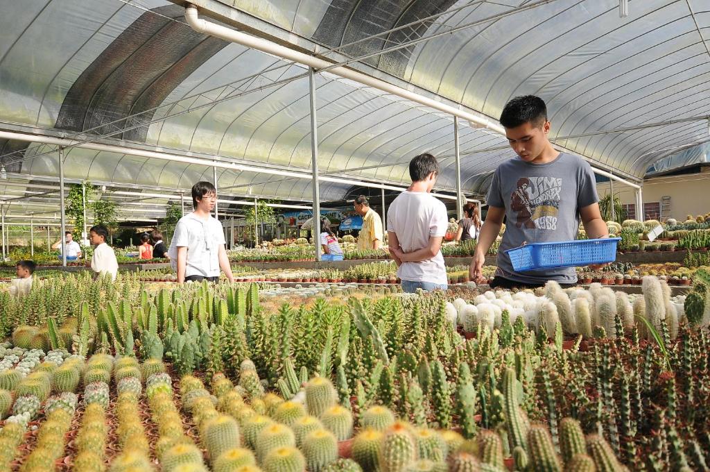 Sevärdheter i närheten