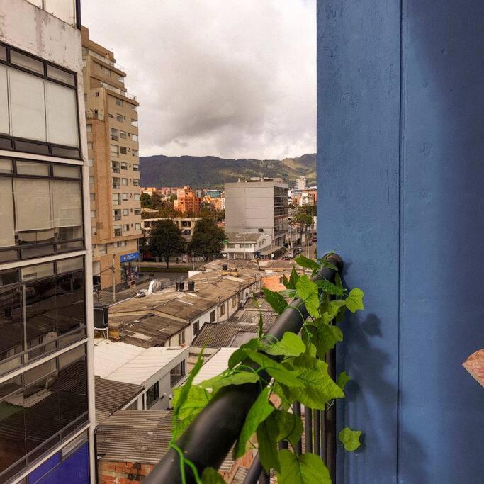 Precioso apartaestudio - 4