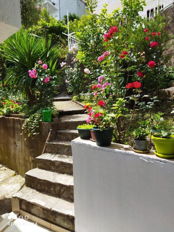 Apartmani "Srma" Srma 2 - 5