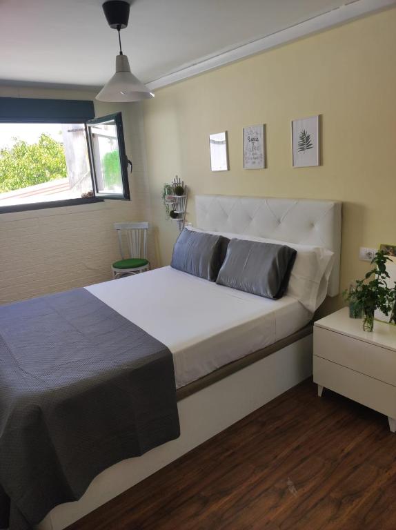 Val de Lemos, Monforte de Lemos