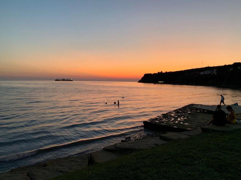 Guesthouse Skofije ob Parenzani 9