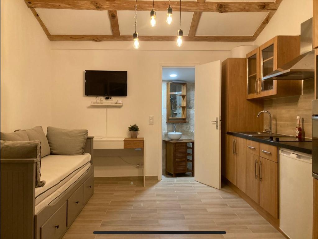 Cosy studio tiny house, parking Mougins, proche Cannes - 1