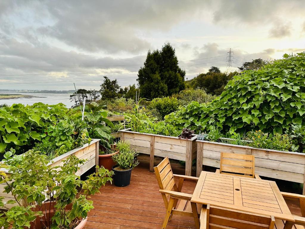 Natures own guesthouse, Окленд