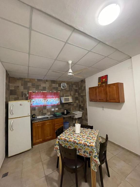 Departamento zona céntrica - 3