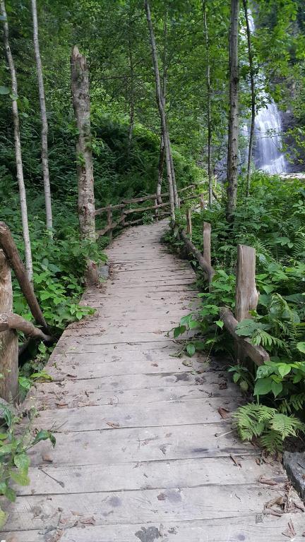 周辺観光スポット