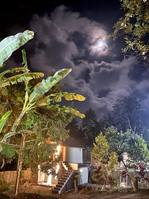 OYO 93627 Avocado Homestay
