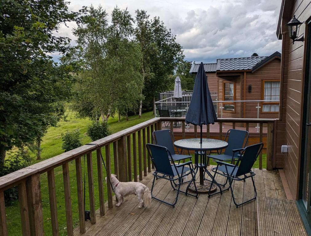 Lodge at Riverview Holiday Park, Newcastleton photo 4