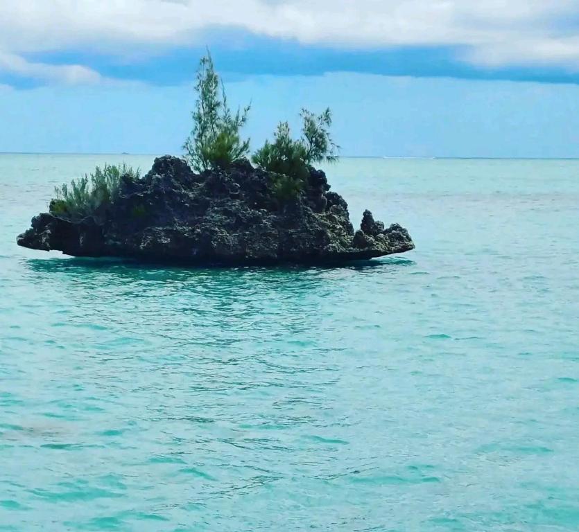 Étoile L, La Gaulette