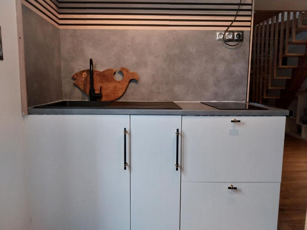 T1 Duplex avec filet detente - 5