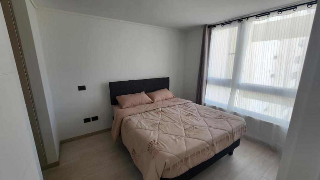 Laguna del mar, La Serena - 1