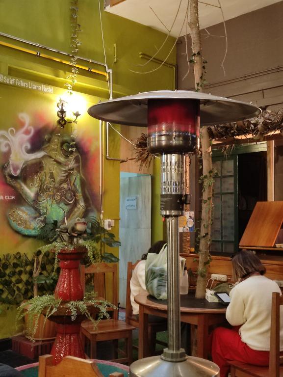 SAINT PETER'S LLAMA HOSTAL - 3