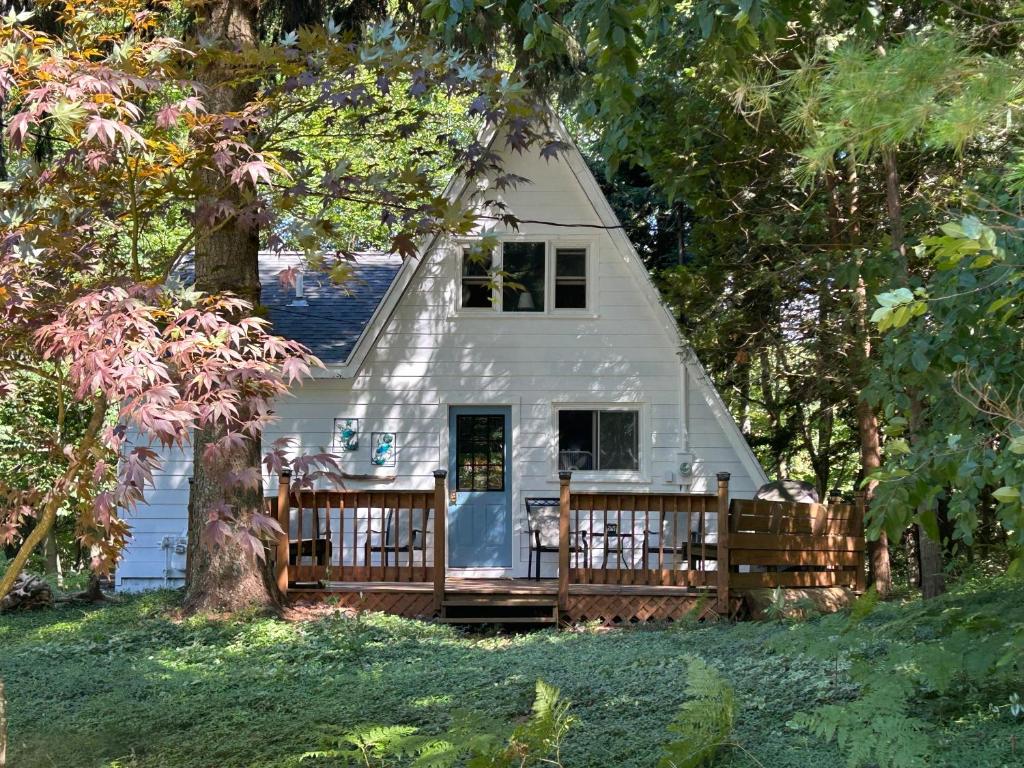 The Amazing Escape, Manistee