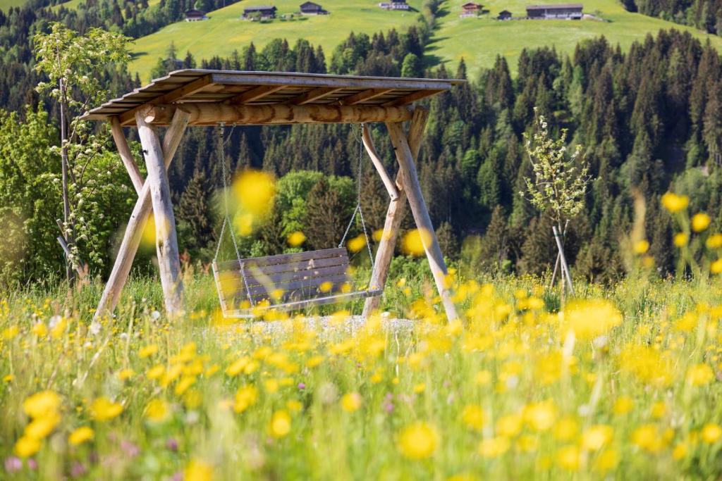 Alpbacherhof - Mountain & Spa Resort - 3