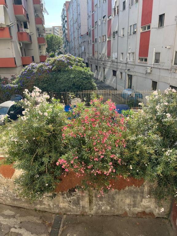 La casa di Gastone - 2