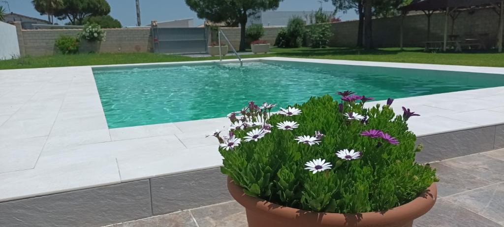 Chalet andaluz con piscina - 5