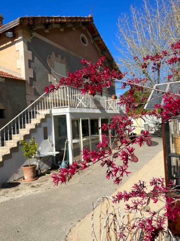 "Countryside Escape Charm and Serenity in Isle-sur-la-Sorgue" - 2