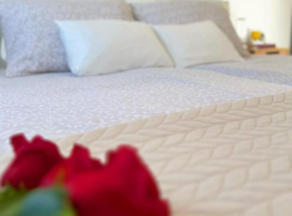 APARTMAN "Kuća za odmor Vera" - 2