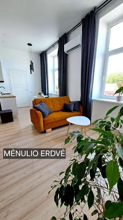Mano erdvės，位于阿尼克什奇艾的酒店