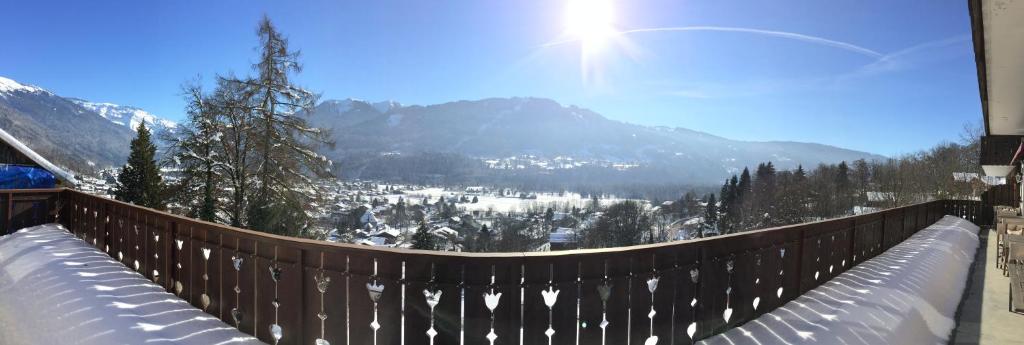 Edelweiss photo