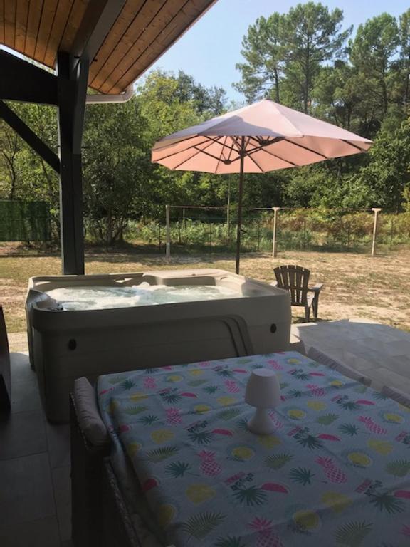 Gîte mimosas - 2