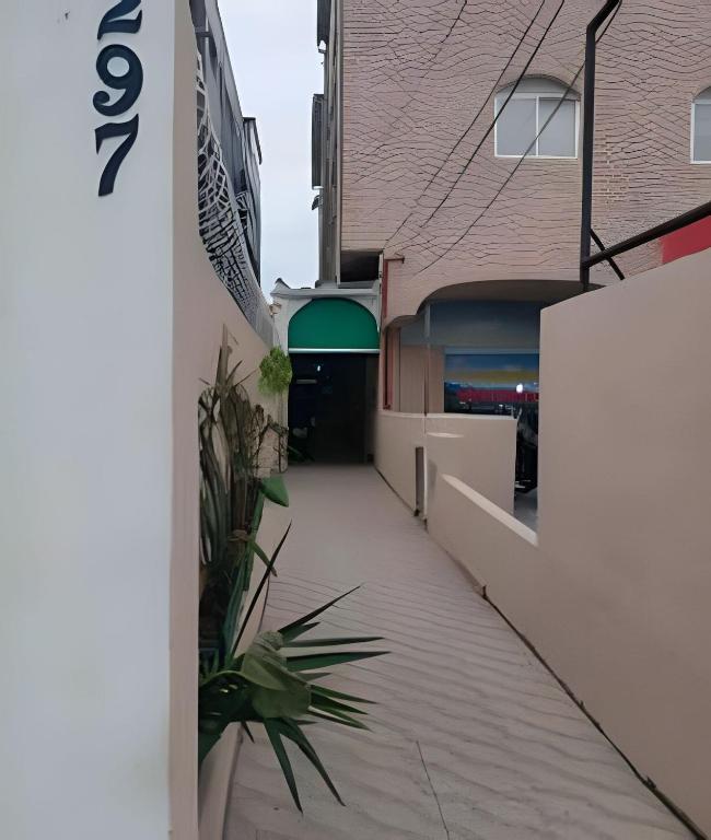 Ảnh 5