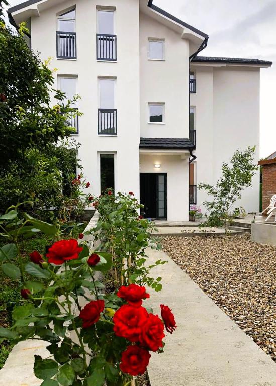 Vas Dom NA, Soko Banja