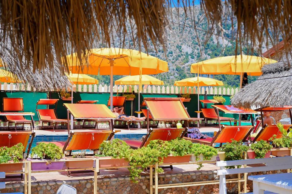 Bujtina Syni Zi Keshtjella - Shengjin 전경