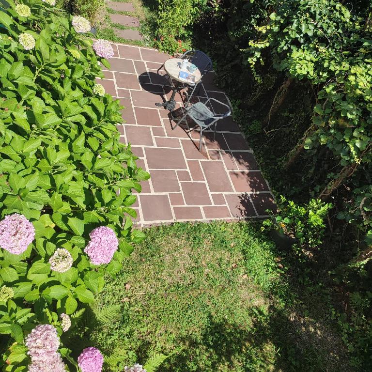 La Quintita Biarritz - studio avec jardin - 2