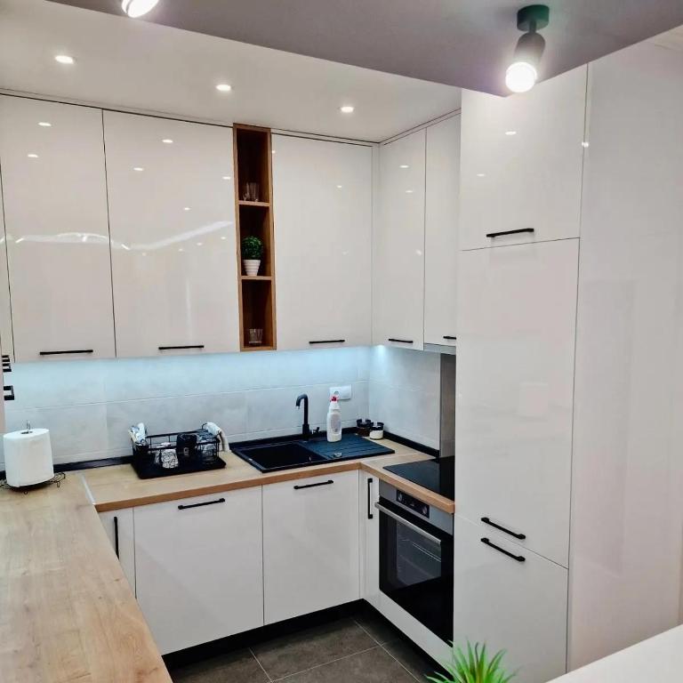 Apartman BOSS Lux - 3
