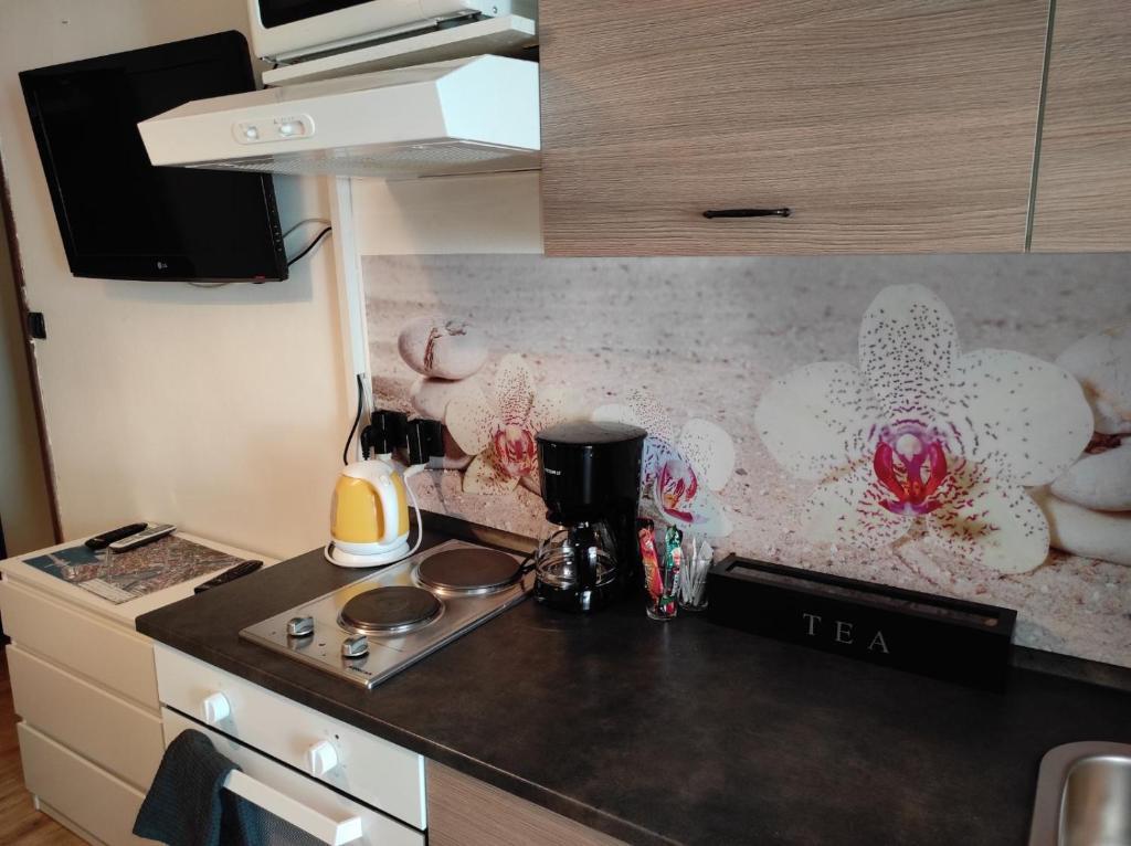 apartman Rijeka, Rijeka