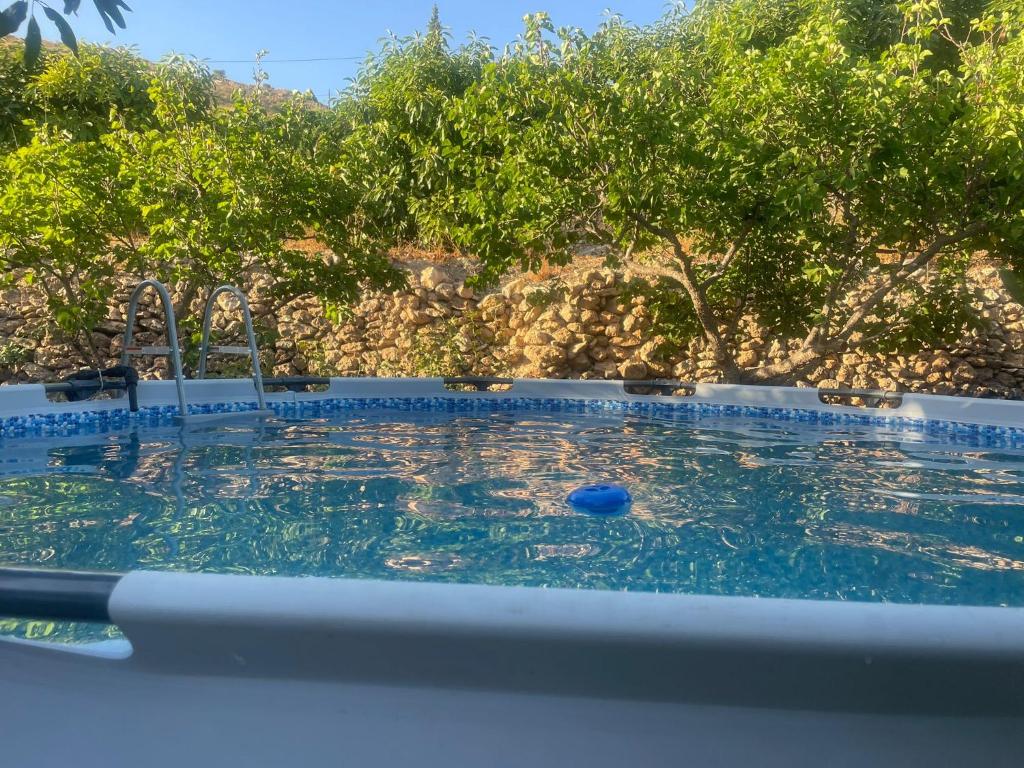 Finca Bocacha - 3