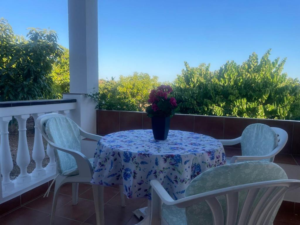 Finca Bocacha - 5