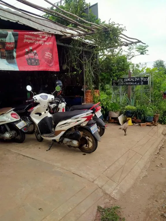 Natural Bungalow，位于Phumĭ Prêk Cham的酒店