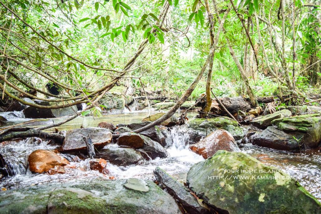 Surrounding environment