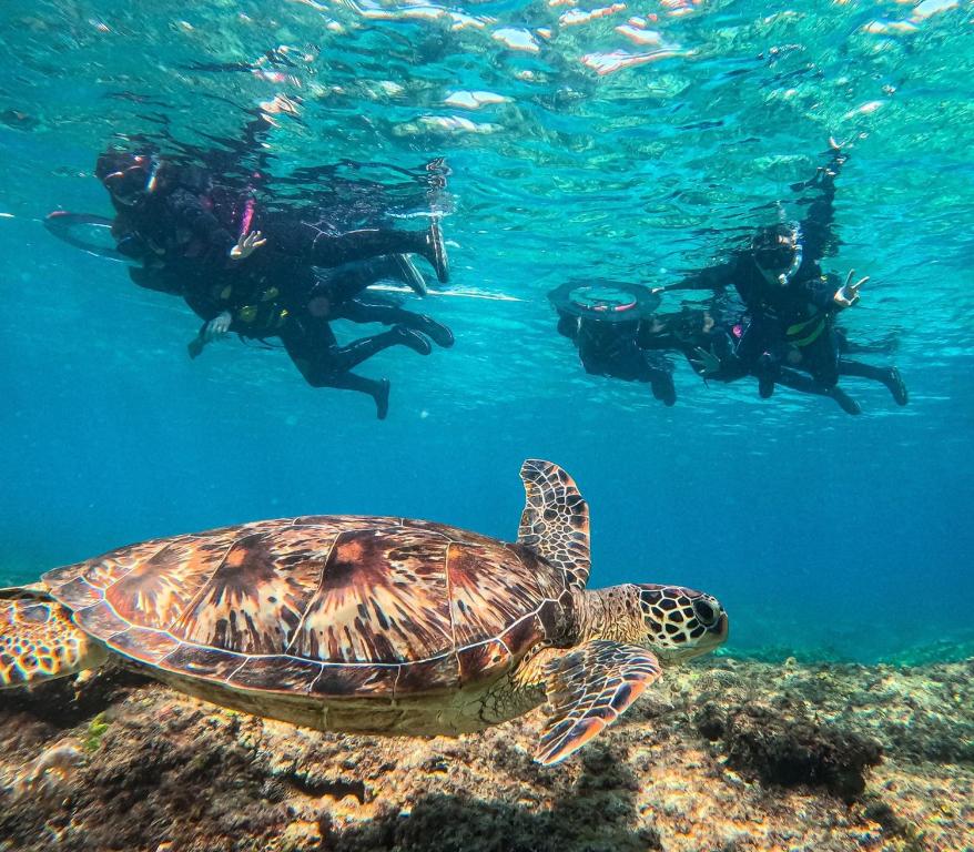 Sports and activities