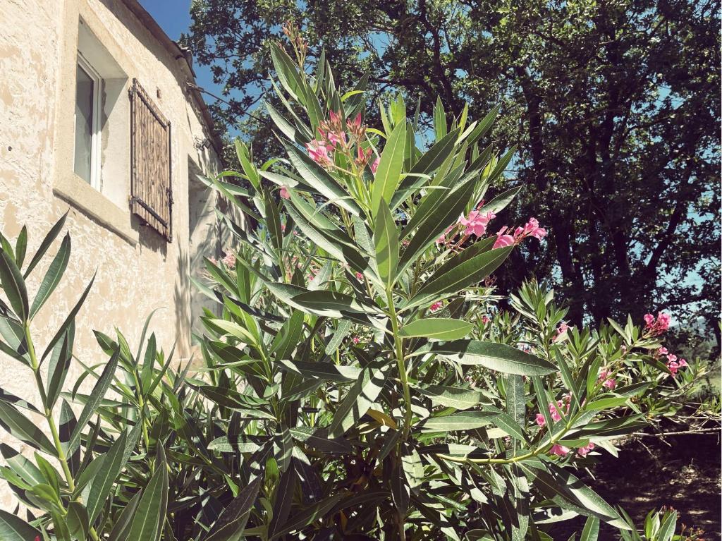 Appartement à la campagne - 3