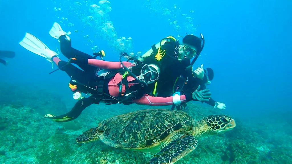 Sports and activities