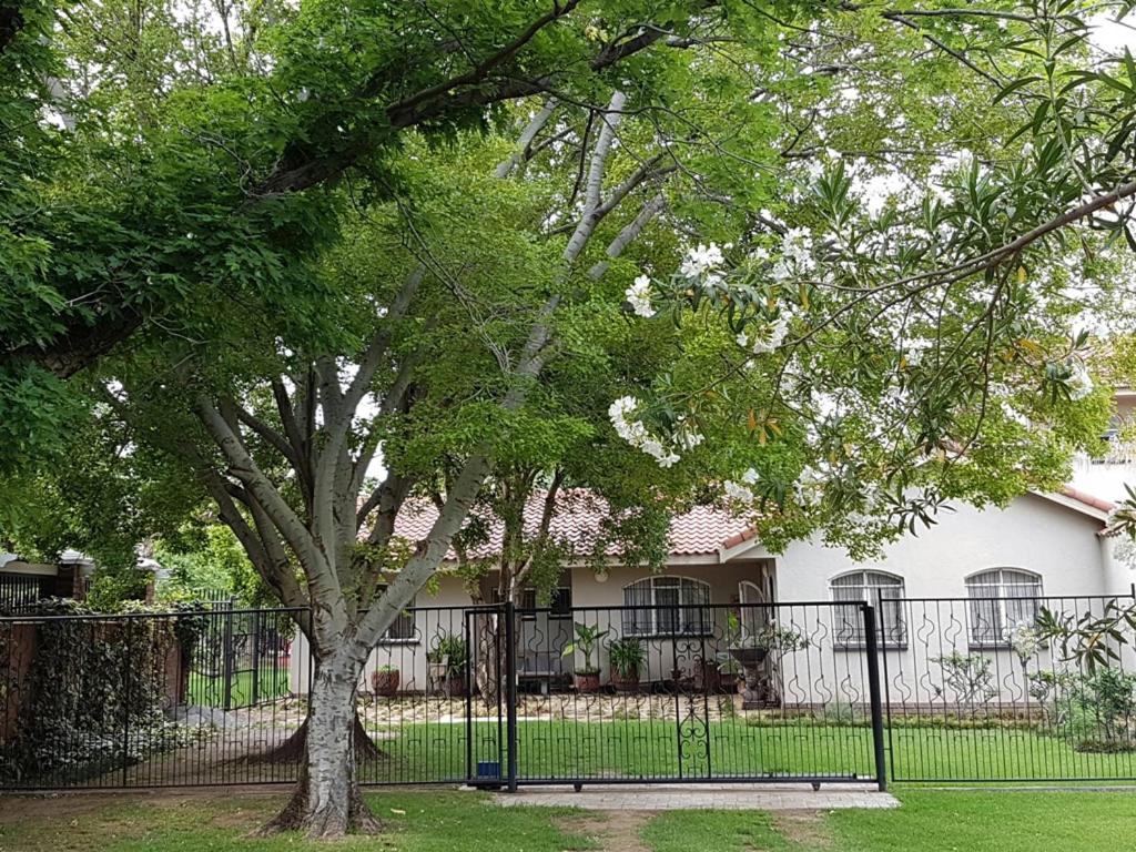 Lizzie's, Potchefstroom