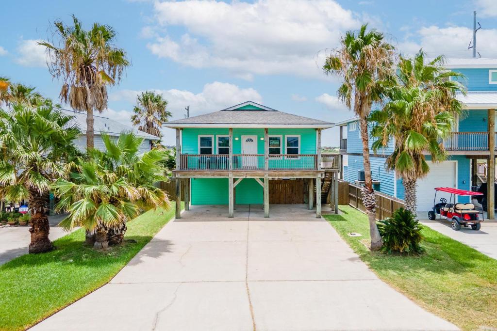 Shark Attack, Port Aransas