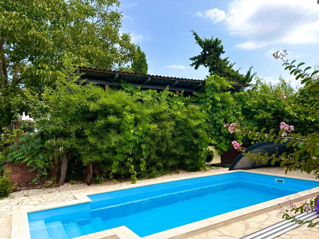 Bokalu with private pool, Poreč