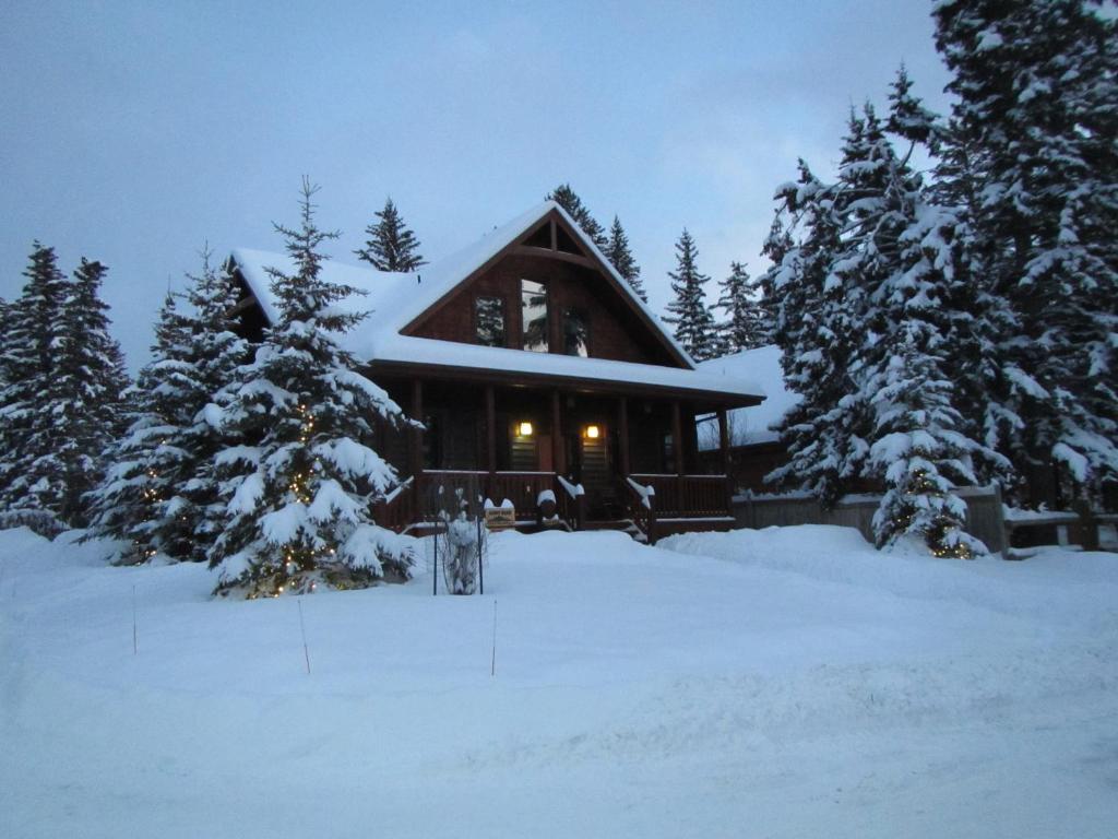 Banff Bear Bed & Breakfast photo