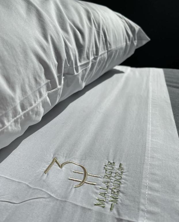 3H MALARGUE Monoambiente - 4