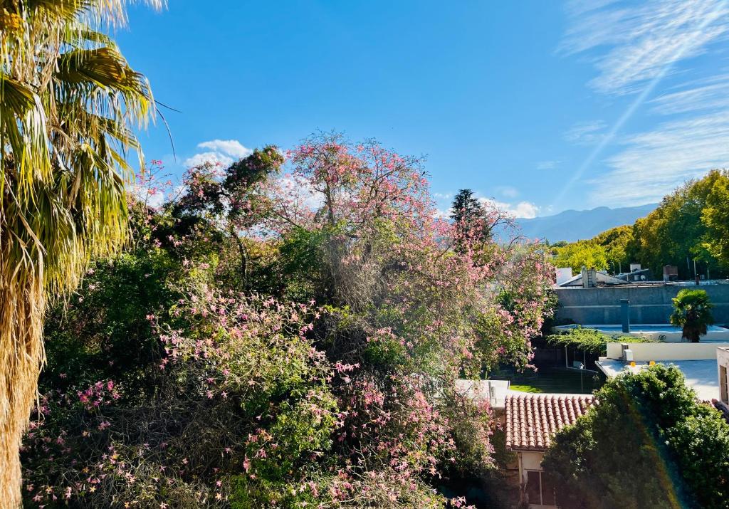 Surrounding environment