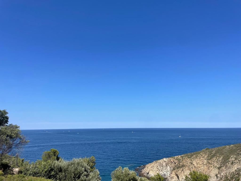 Studio cabine à Banyuls-sur-Mer avec terrasse - FR-1-309-210 - 2