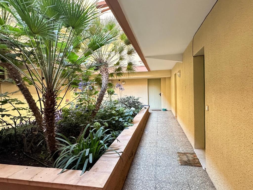 Appartement Sea Shell - 2