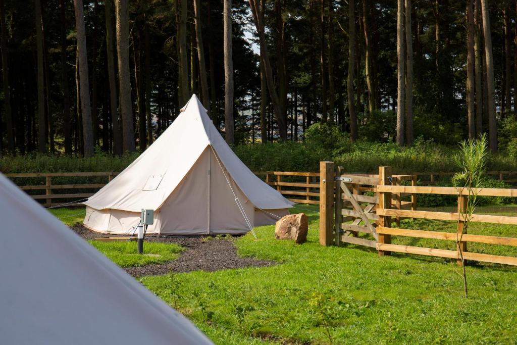 Tent 3, Cornhill-on-tweed