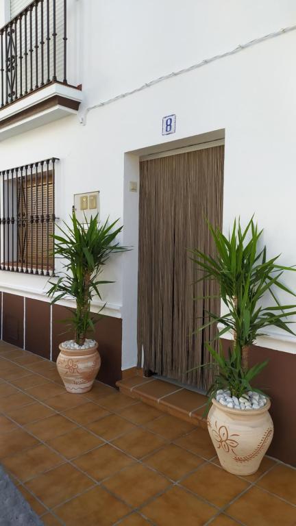 Sabor Andaluz - 1