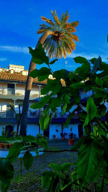 Andalusian Courtyard - 3