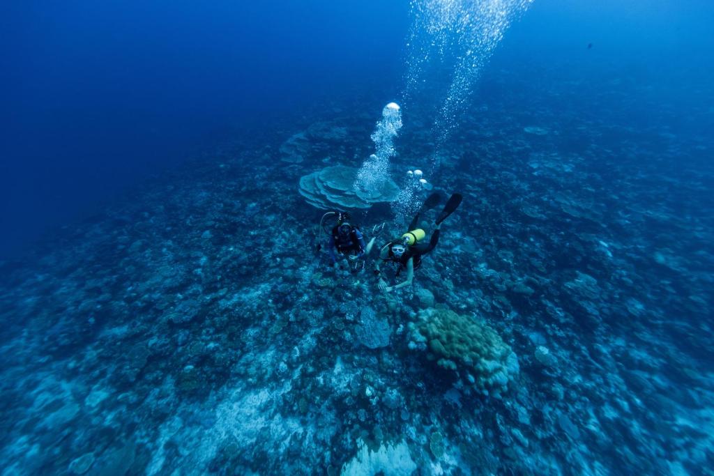 Sports and activities